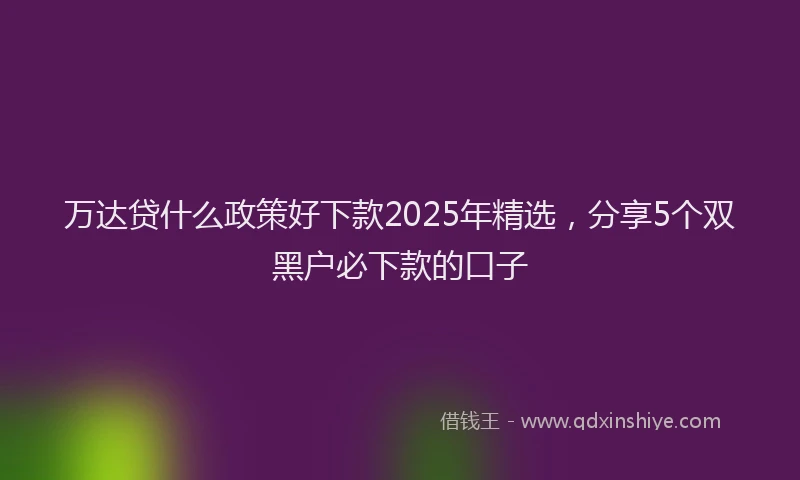 万达贷什么政策好下款2025年精选，分享5个双黑户必下款的口子