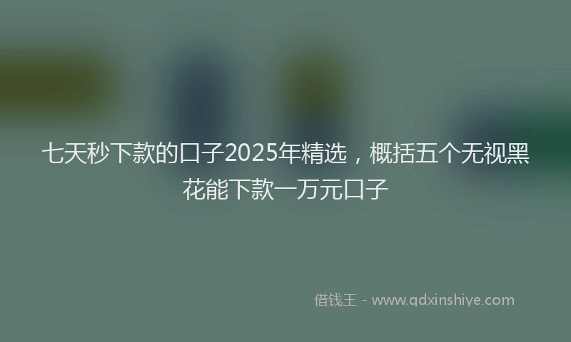七天秒下款的口子2025年精选，概括五个无视黑花能下款一万元口子