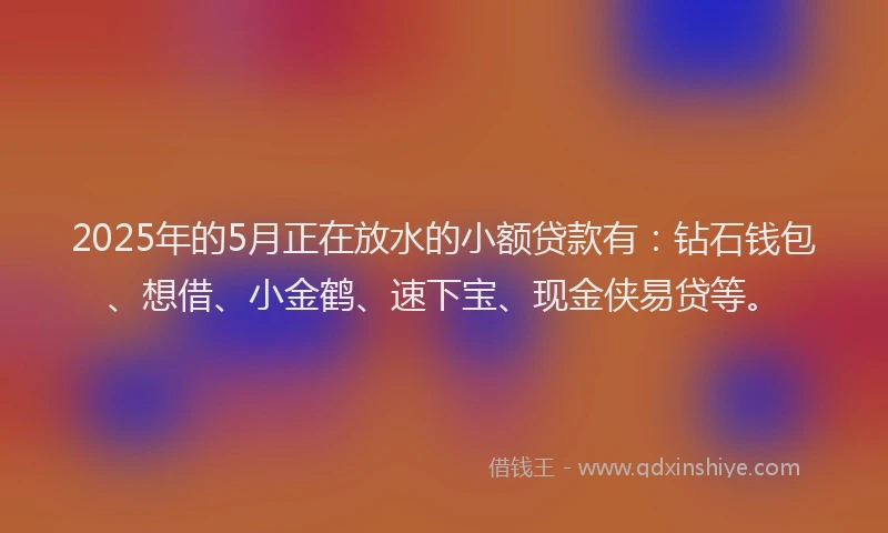 2025年的5月正在放水的小额贷款有：钻石钱包、想借、小金鹤、速下宝、现金侠易贷等。