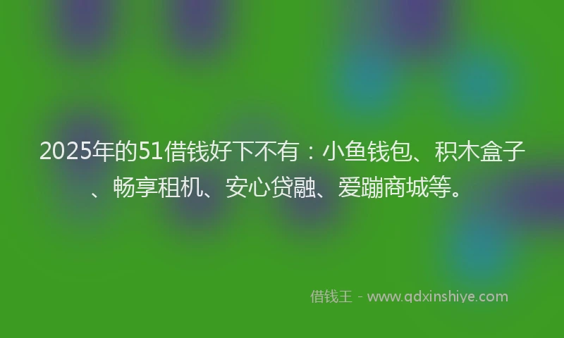 2025年的51借钱好下不有：小鱼钱包、积木盒子、畅享租机、安心贷融、爱蹦商城等。