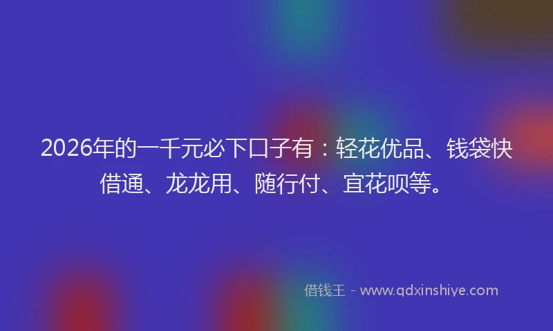 2026年的一千元必下口子有：轻花优品、钱袋快借通、龙龙用、随行付、宜花呗等。