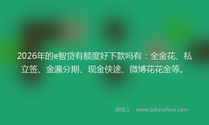 2026年的e智贷有额度好下款吗有：全金花、私立签、金瀛分期、现金侠途、微博花花金等。