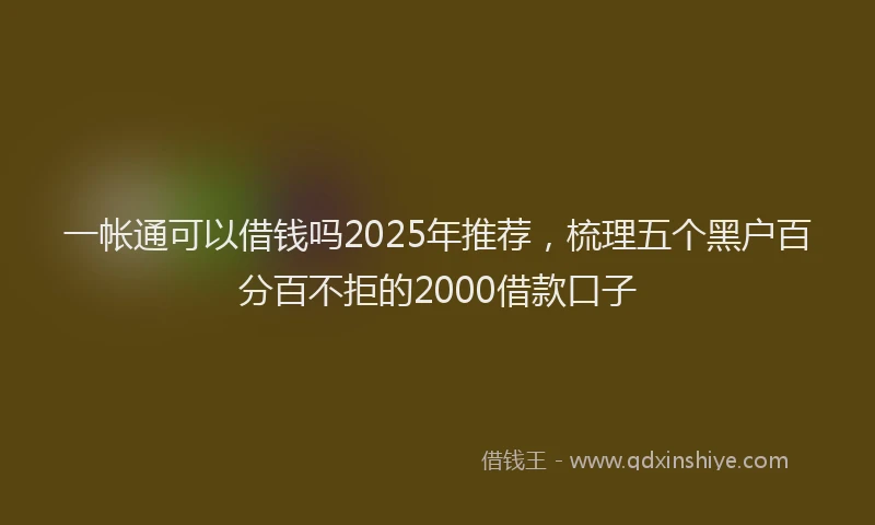一帐通可以借钱吗2025年推荐，梳理五个黑户百分百不拒的2000借款口子