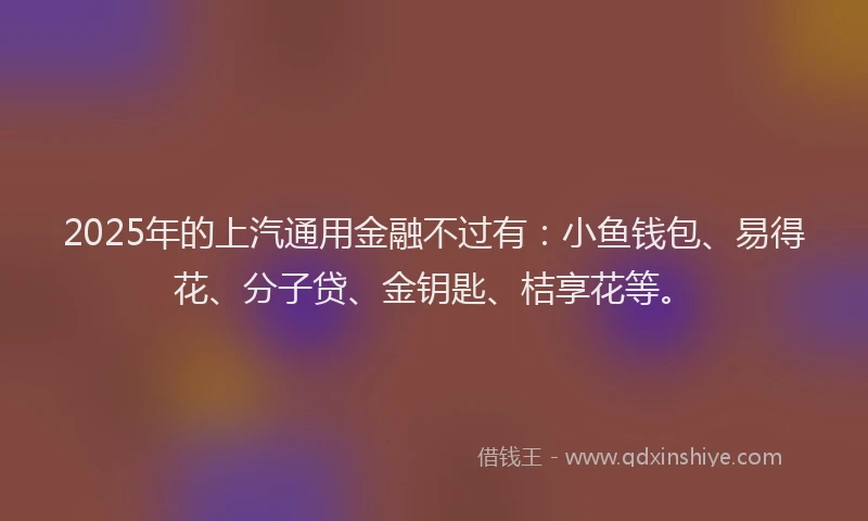 2025年的上汽通用金融不过有：小鱼钱包、易得花、分子贷、金钥匙、桔享花等。