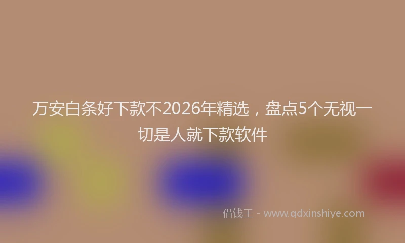 万安白条好下款不2026年精选，盘点5个无视一切是人就下款软件