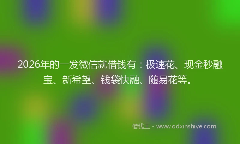 2026年的一发微信就借钱有：极速花、现金秒融宝、新希望、钱袋快融、随易花等。