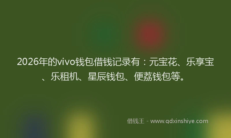 2026年的vivo钱包借钱记录有：元宝花、乐享宝、乐租机、星辰钱包、便荔钱包等。