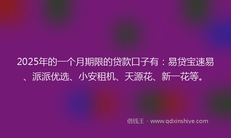 2025年的一个月期限的贷款口子有：易贷宝速易、派派优选、小安租机、天源花、新一花等。