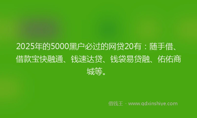 2025年的5000黑户必过的网贷20有:随手借、借款宝快融通、钱速达贷、钱袋易贷融、佑佑商城等。