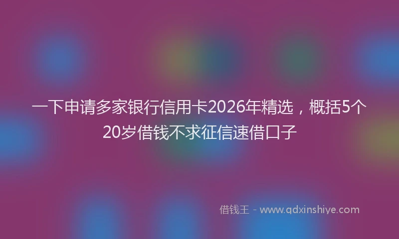 一下申请多家银行信用卡2026年精选,概括5个20岁借钱不求征信速借口子