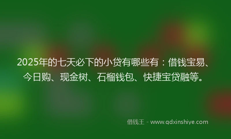 2025年的七天必下的小贷有哪些有：借钱宝易、今日购、现金树、石榴钱包、快捷宝贷融等。