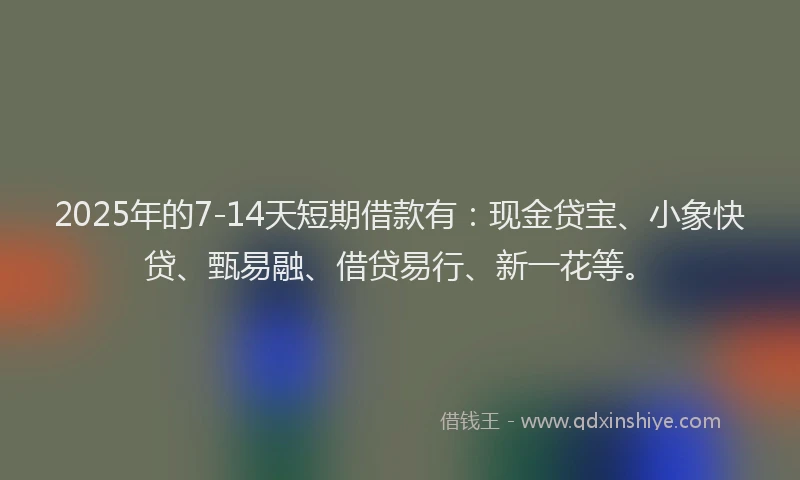 2025年的7-14天短期借款有：现金贷宝、小象快贷、甄易融、借贷易行、新一花等。