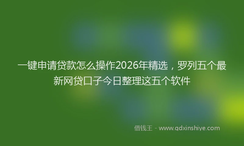 一键申请贷款怎么操作2026年精选，罗列五个最新网贷口子今日整理这五个软件