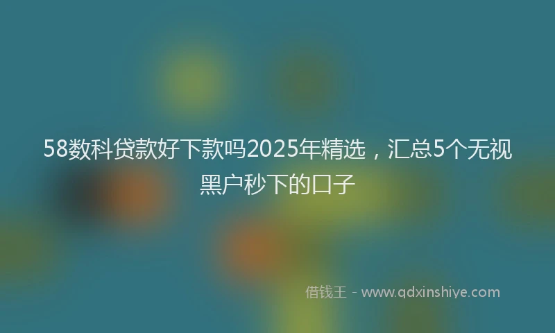58数科贷款好下款吗2025年精选，汇总5个无视黑户秒下的口子