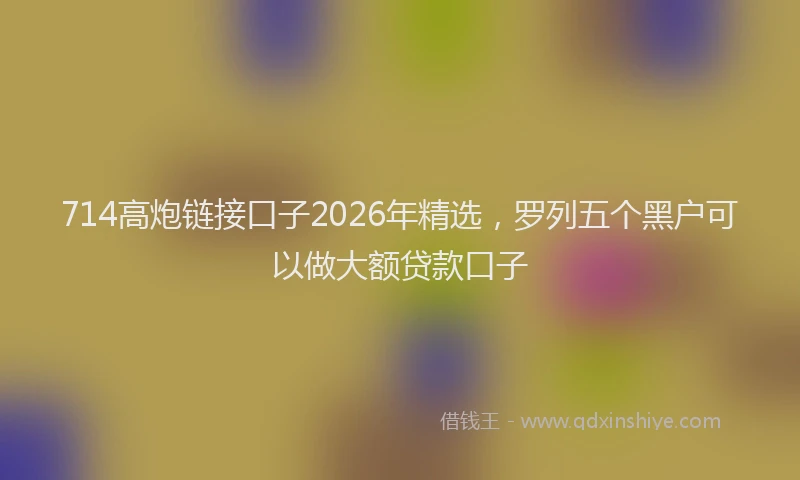 714高炮链接口子2026年精选，罗列五个黑户可以做大额贷款口子
