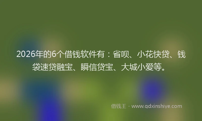 2026年的6个借钱软件有：省呗、小花快贷、钱袋速贷融宝、瞬信贷宝、大城小爱等。