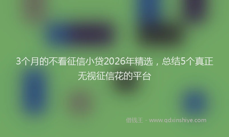 3个月的不看征信小贷2026年精选，总结5个真正无视征信花的平台