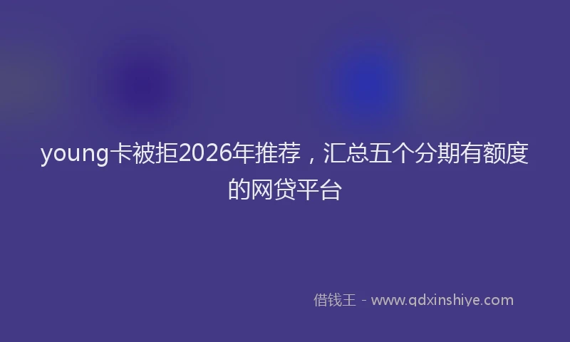 young卡被拒2026年推荐，汇总五个分期有额度的网贷平台