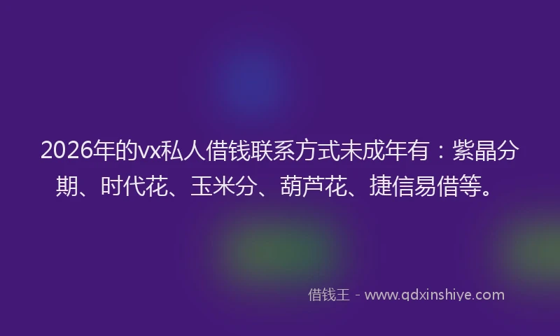 2026年的vx私人借钱联系方式未成年有：紫晶分期、时代花、玉米分、葫芦花、捷信易借等。