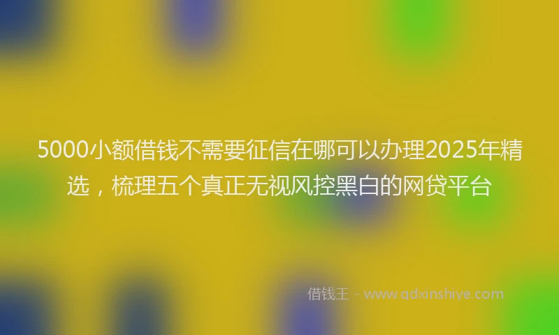 5000小额借钱不需要征信在哪可以办理2025年精选,梳理五个真正无视风控黑白的网贷平台