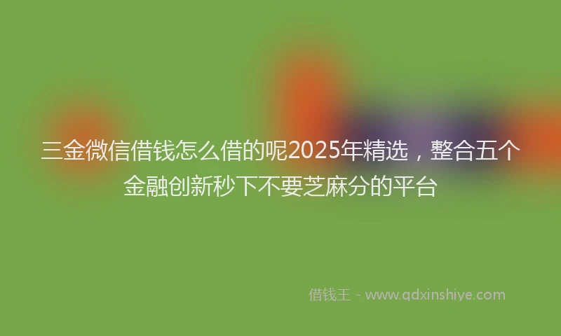 三金微信借钱怎么借的呢2025年精选，整合五个金融创新秒下不要芝麻分的平台