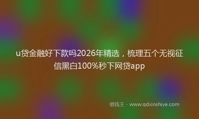 u贷金融好下款吗2026年精选，梳理五个无视征信黑白100%秒下网贷app