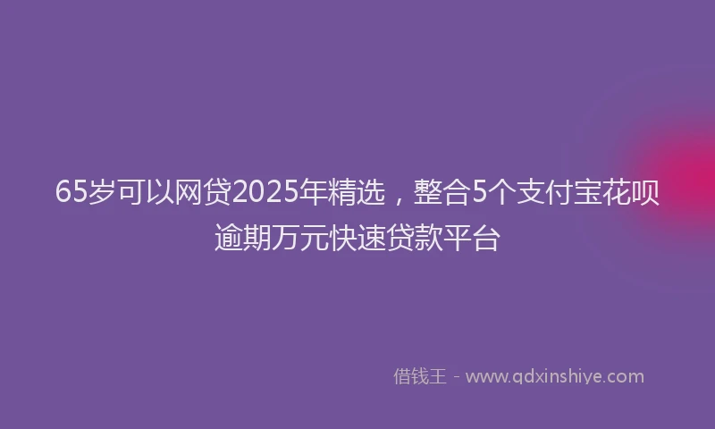 65岁可以网贷2025年精选，整合5个支付宝花呗逾期万元快速贷款平台