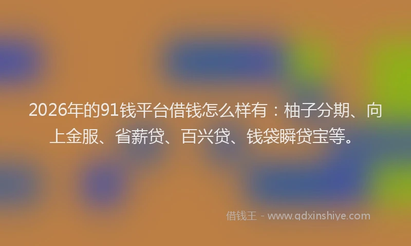 2026年的91钱平台借钱怎么样有：柚子分期、向上金服、省薪贷、百兴贷、钱袋瞬贷宝等。