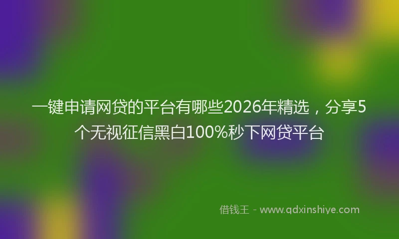 一键申请网贷的平台有哪些2026年精选，分享5个无视征信黑白100%秒下网贷平台