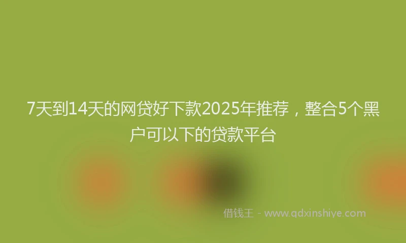 7天到14天的网贷好下款2025年推荐，整合5个黑户可以下的贷款平台
