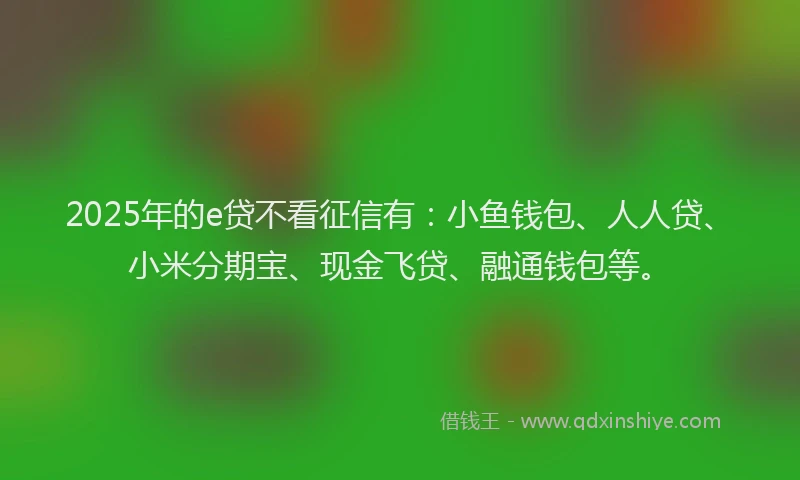 2025年的e贷不看征信有：小鱼钱包、人人贷、小米分期宝、现金飞贷、融通钱包等。