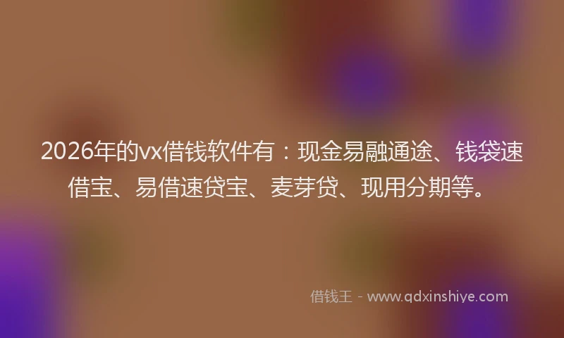 2026年的vx借钱软件有：现金易融通途、钱袋速借宝、易借速贷宝、麦芽贷、现用分期等。