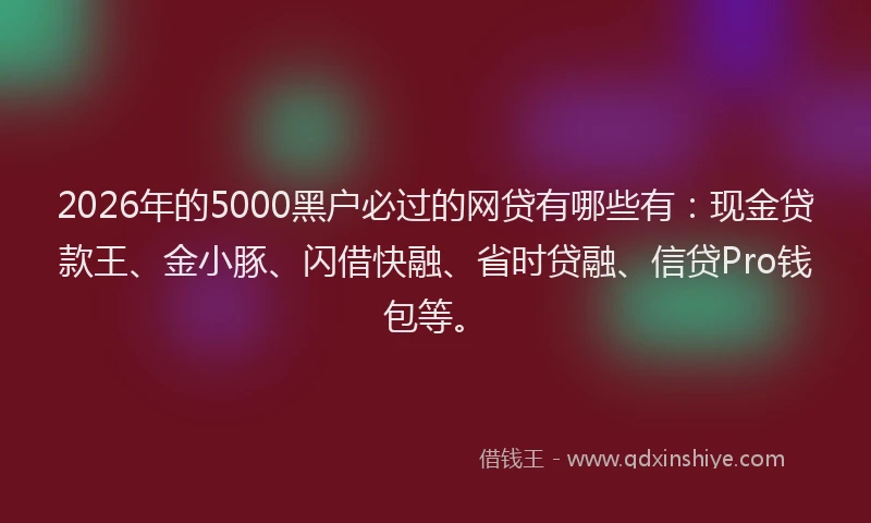 2026年的5000黑户必过的网贷有哪些有：现金贷款王、金小豚、闪借快融、省时贷融、信贷Pro钱包等。