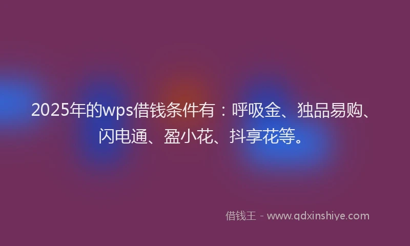 2025年的wps借钱条件有：呼吸金、独品易购、闪电通、盈小花、抖享花等。