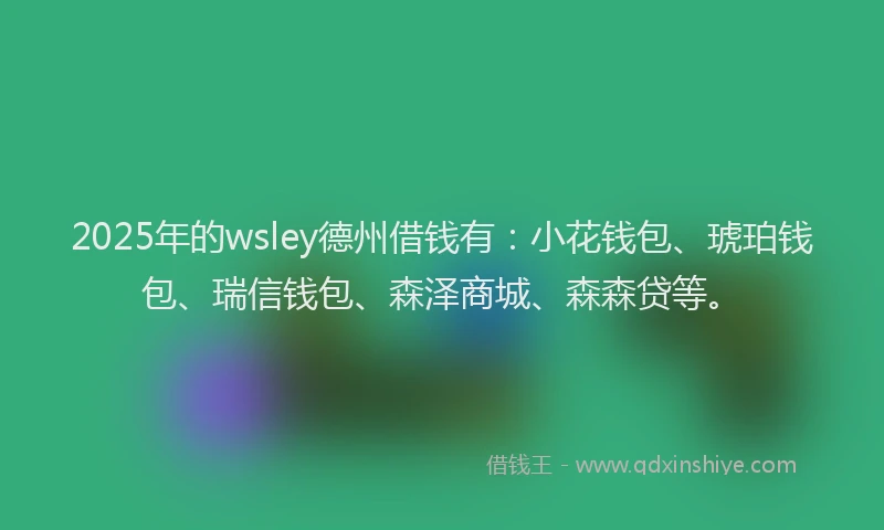 2025年的wsley德州借钱有：小花钱包、琥珀钱包、瑞信钱包、森泽商城、森森贷等。
