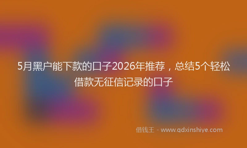 5月黑户能下款的口子2026年推荐，总结5个轻松借款无征信记录的口子