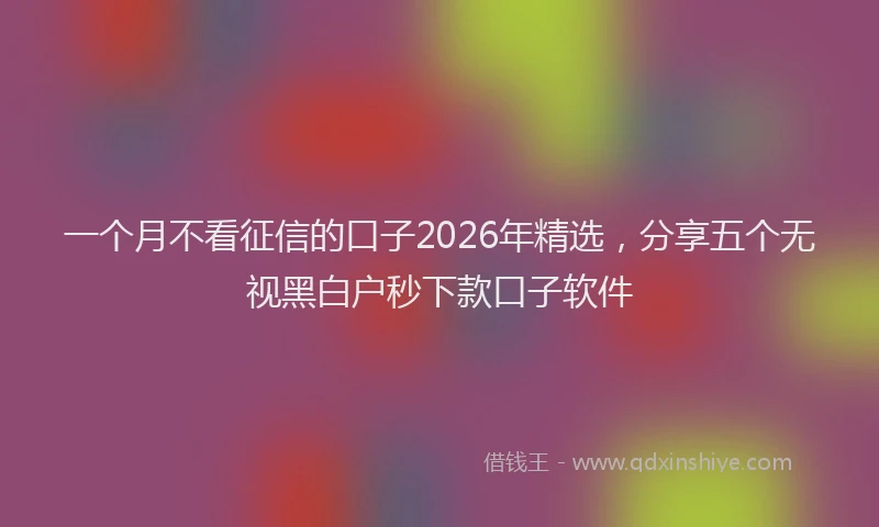 一个月不看征信的口子2026年精选,分享五个无视黑白户秒下款口子软件