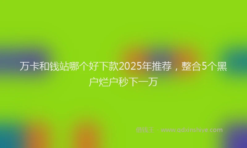 万卡和钱站哪个好下款2025年推荐，整合5个黑户烂户秒下一万