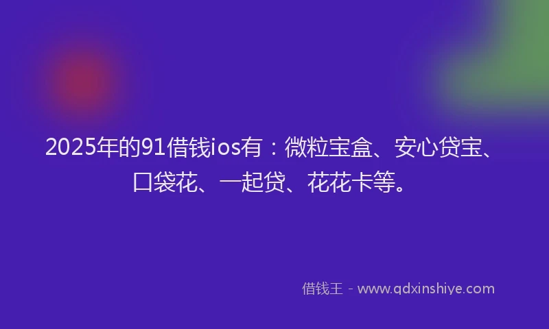 2025年的91借钱ios有：微粒宝盒、安心贷宝、口袋花、一起贷、花花卡等。
