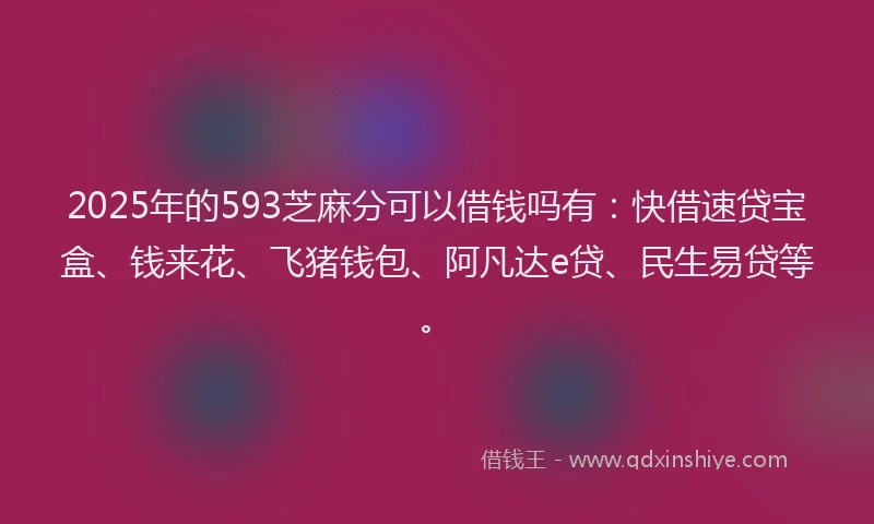 2025年的593芝麻分可以借钱吗有：快借速贷宝盒、钱来花、飞猪钱包、阿凡达e贷、民生易贷等。