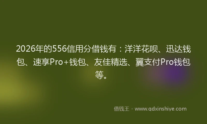 2026年的556信用分借钱有:洋洋花呗、迅达钱包、速享Pro+钱包、友佳精选、翼支付Pro钱包等。