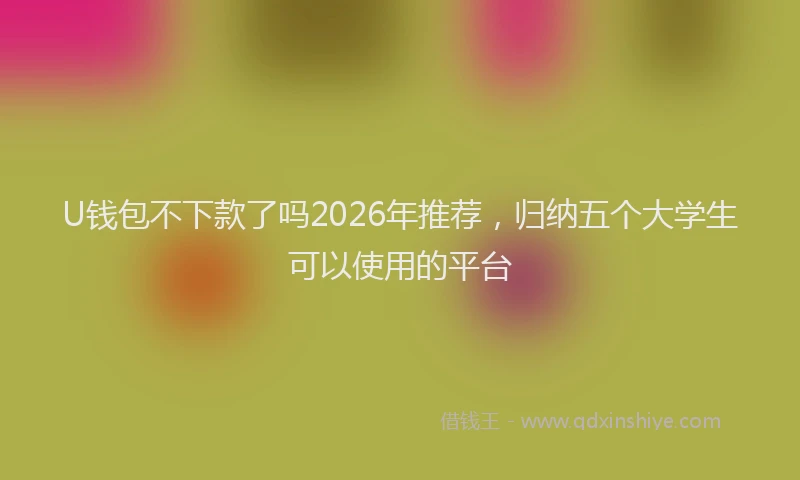 U钱包不下款了吗2026年推荐，归纳五个大学生可以使用的平台