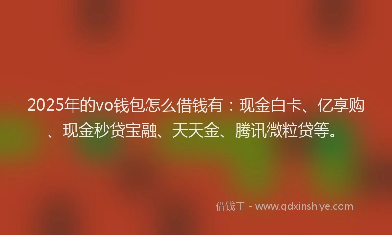 2025年的vo钱包怎么借钱有：现金白卡、亿享购、现金秒贷宝融、天天金、腾讯微粒贷等。