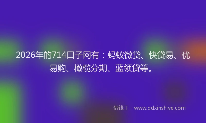 2026年的714口子网有：蚂蚁微贷、快贷易、优易购、橄榄分期、蓝领贷等。