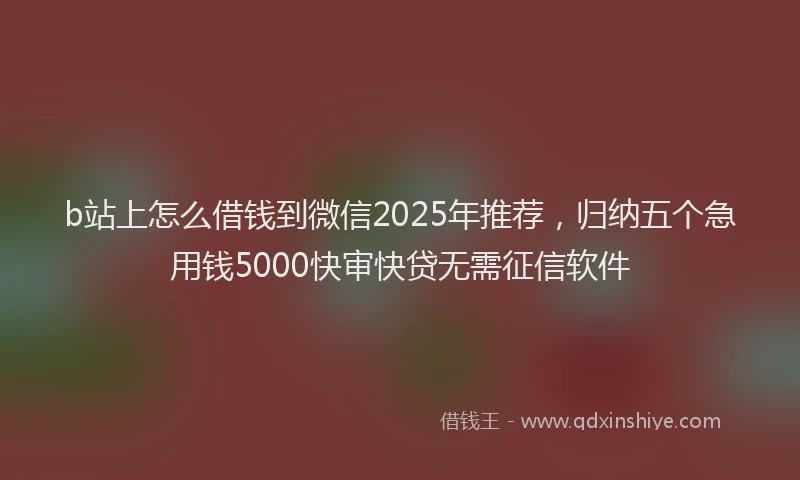 b站上怎么借钱到微信2025年推荐，归纳五个急用钱5000快审快贷无需征信软件