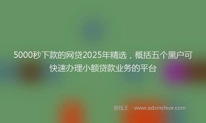 5000秒下款的网贷2025年精选,概括五个黑户可快速办理小额贷款业务的平台