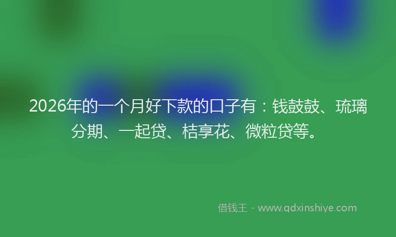 2026年的一个月好下款的口子有：钱鼓鼓、琉璃分期、一起贷、桔享花、微粒贷等。
