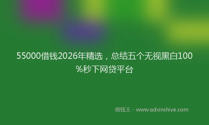 55000借钱2026年精选,总结五个无视黑白100%秒下网贷平台