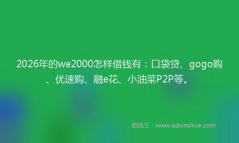 2026年的we2000怎样借钱有：口袋贷、gogo购、优速购、融e花、小油菜P2P等。
