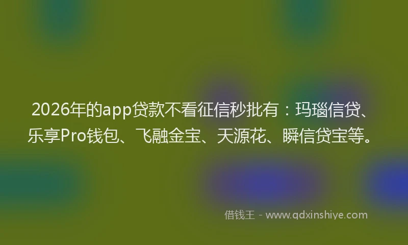 2026年的app贷款不看征信秒批有:玛瑙信贷、乐享Pro钱包、飞融金宝、天源花、瞬信贷宝等。
